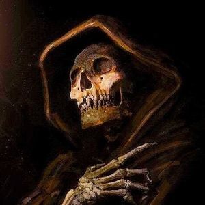 Meet your Posher, Bruce